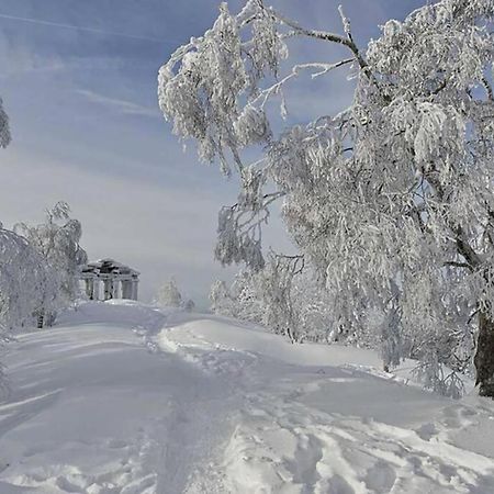 Maison Rurale En Bordure De Foret 쉬르멕 외부 사진